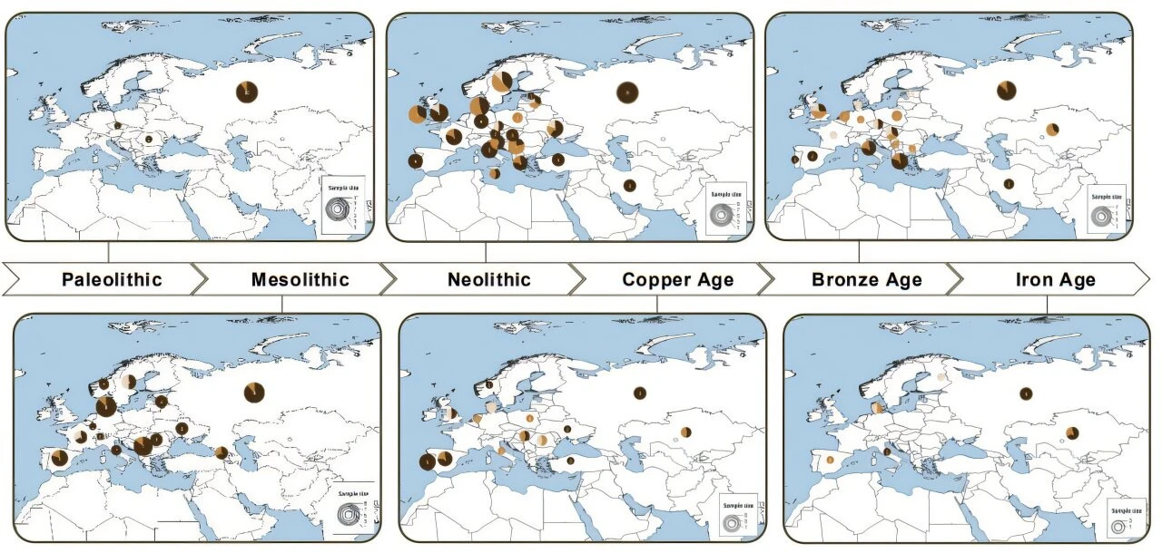 Study reveals accelerated human evolution in last 10,000 years