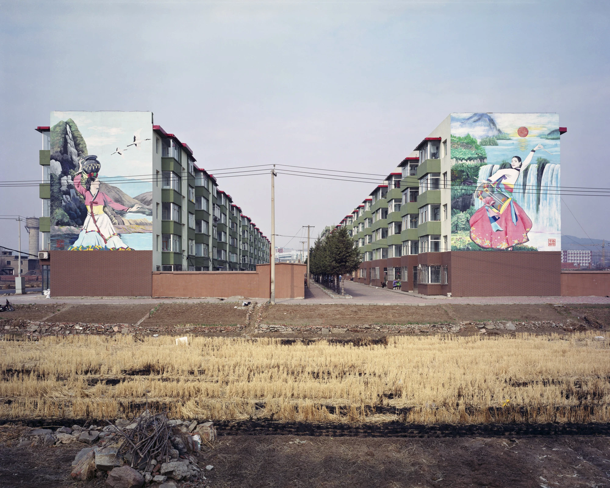 Emerging Asian Artists Explore History and Politics