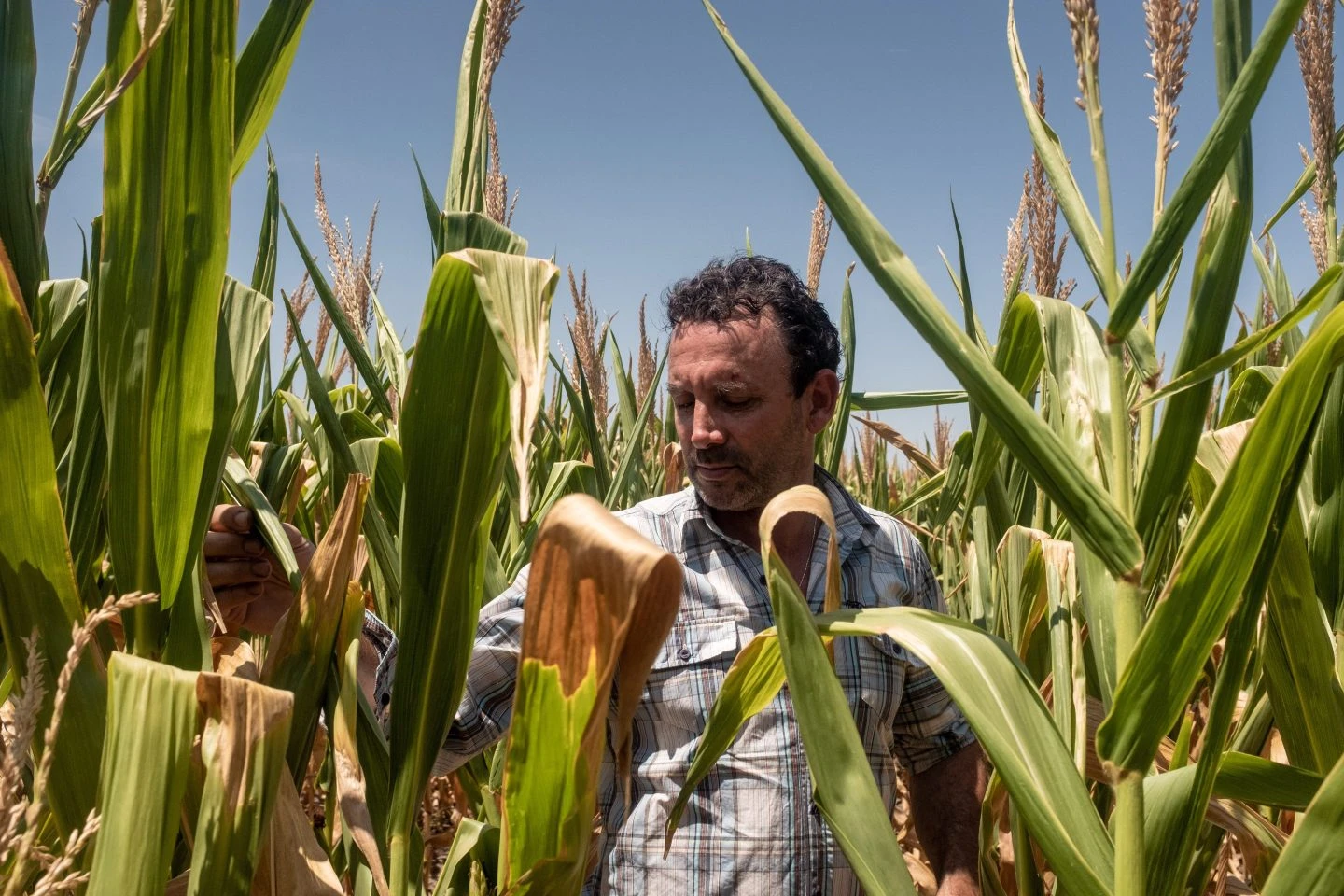 Iran War Disrupts Global Fertilizer Supplies and Prices