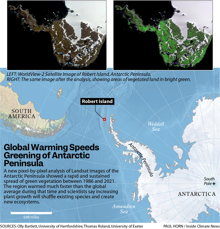 Scientists Warn of Antarctic Peninsula's Future Under Emissions