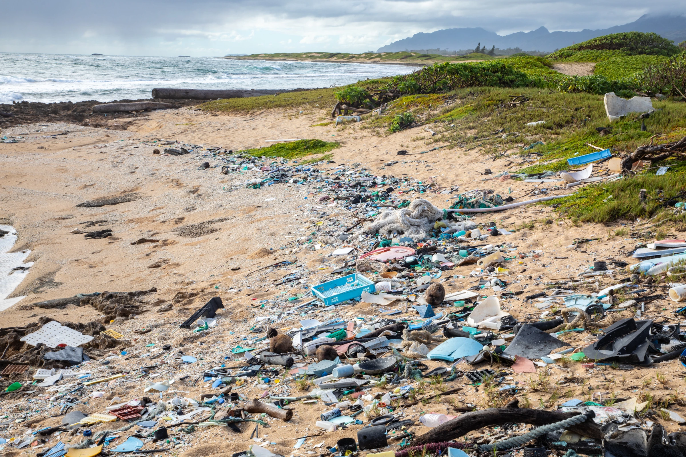 Hawaii Researchers Use Ocean Plastic to Pave Roads