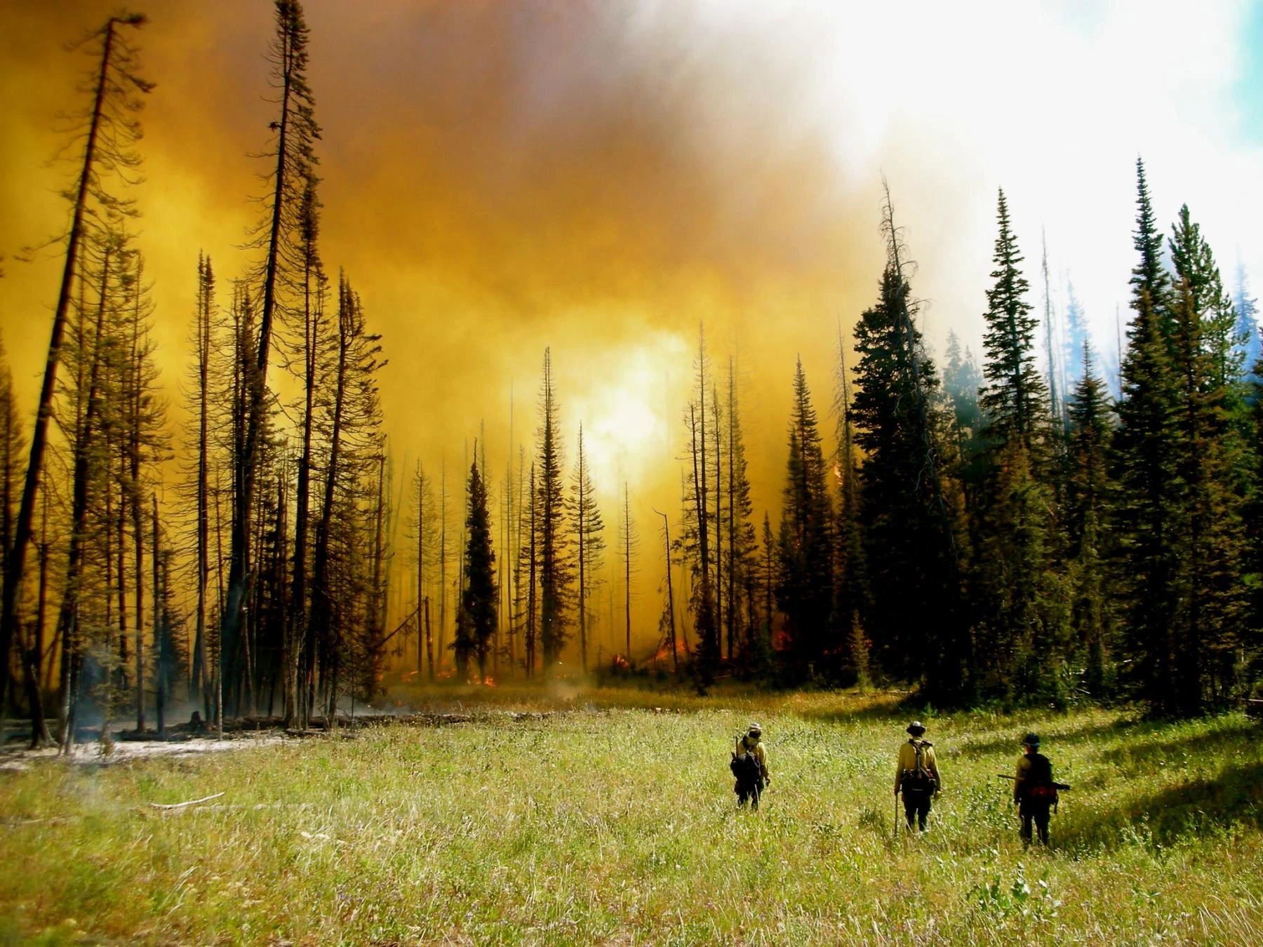 USDA Proposes Lifting Roadbuilding Restrictions in National Forests