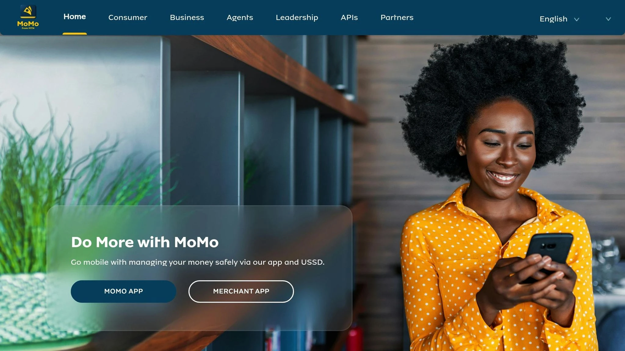 Tanzania's mobile money growth fuels rise in fraud