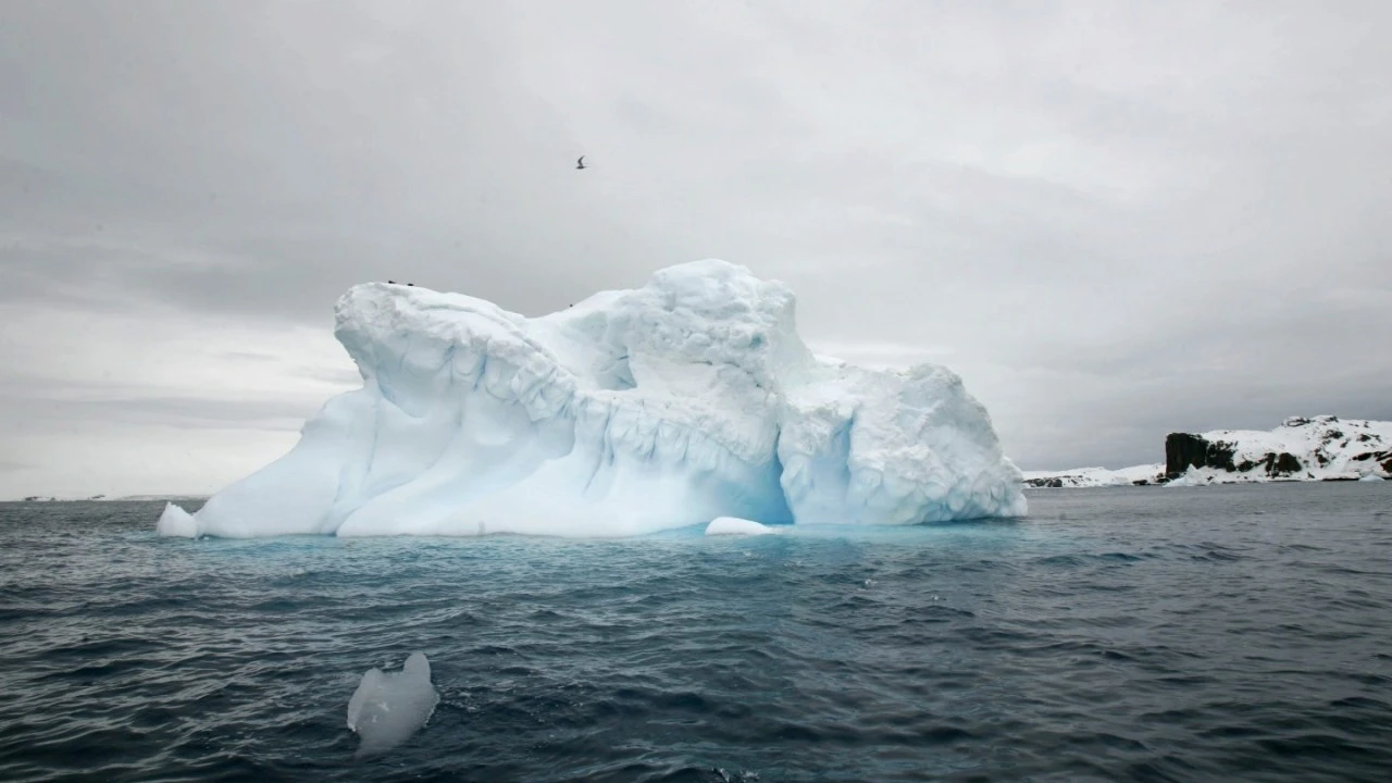 Antarctic trek reveals alarming PFAS levels in snow