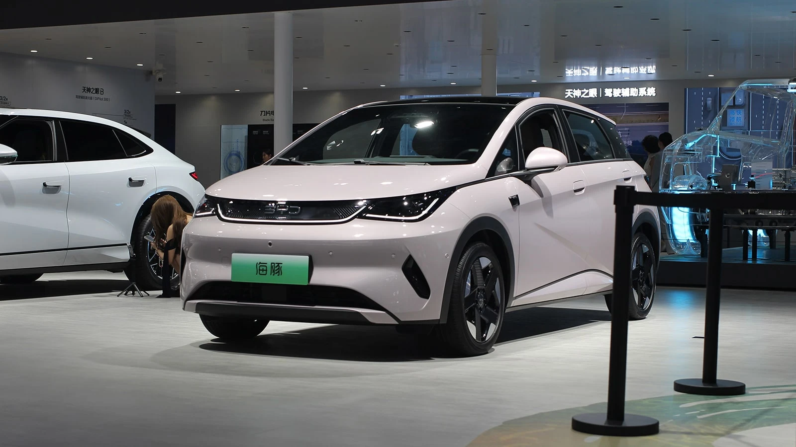 BYD reports 41.1% drop in February vehicle sales