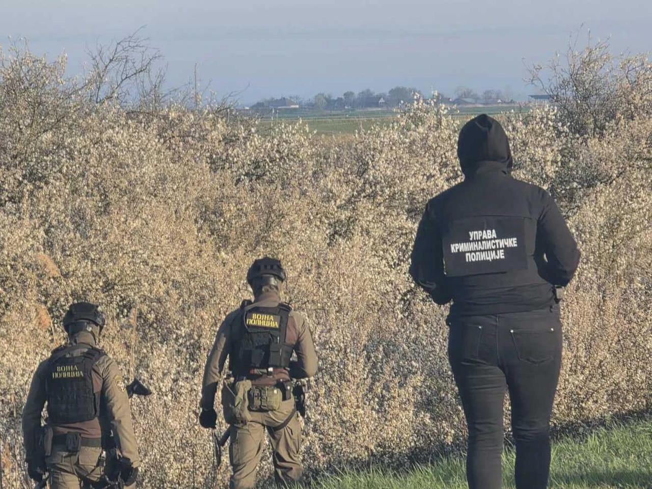 Explosives Found Near Balkan Stream Gas Pipeline