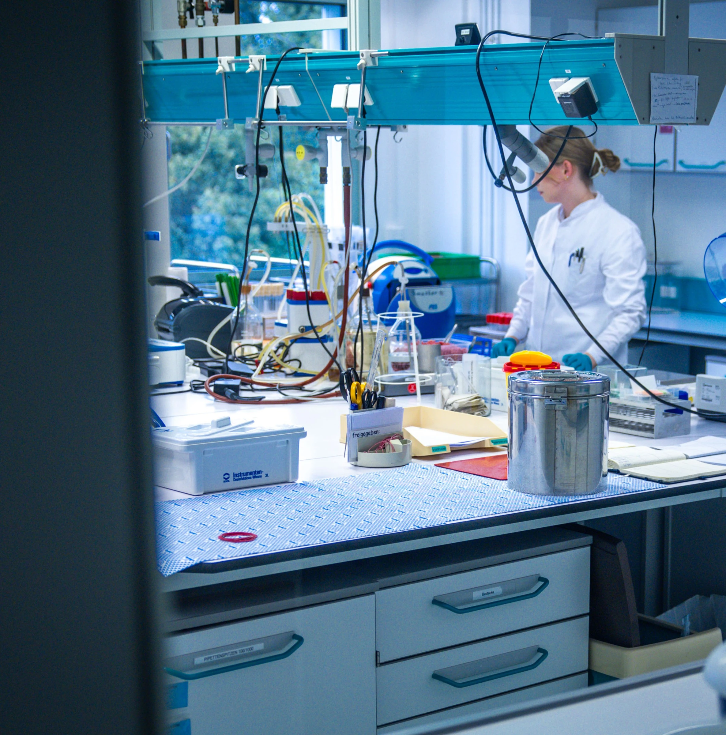 Only Half of Social Science Studies Found Replicable