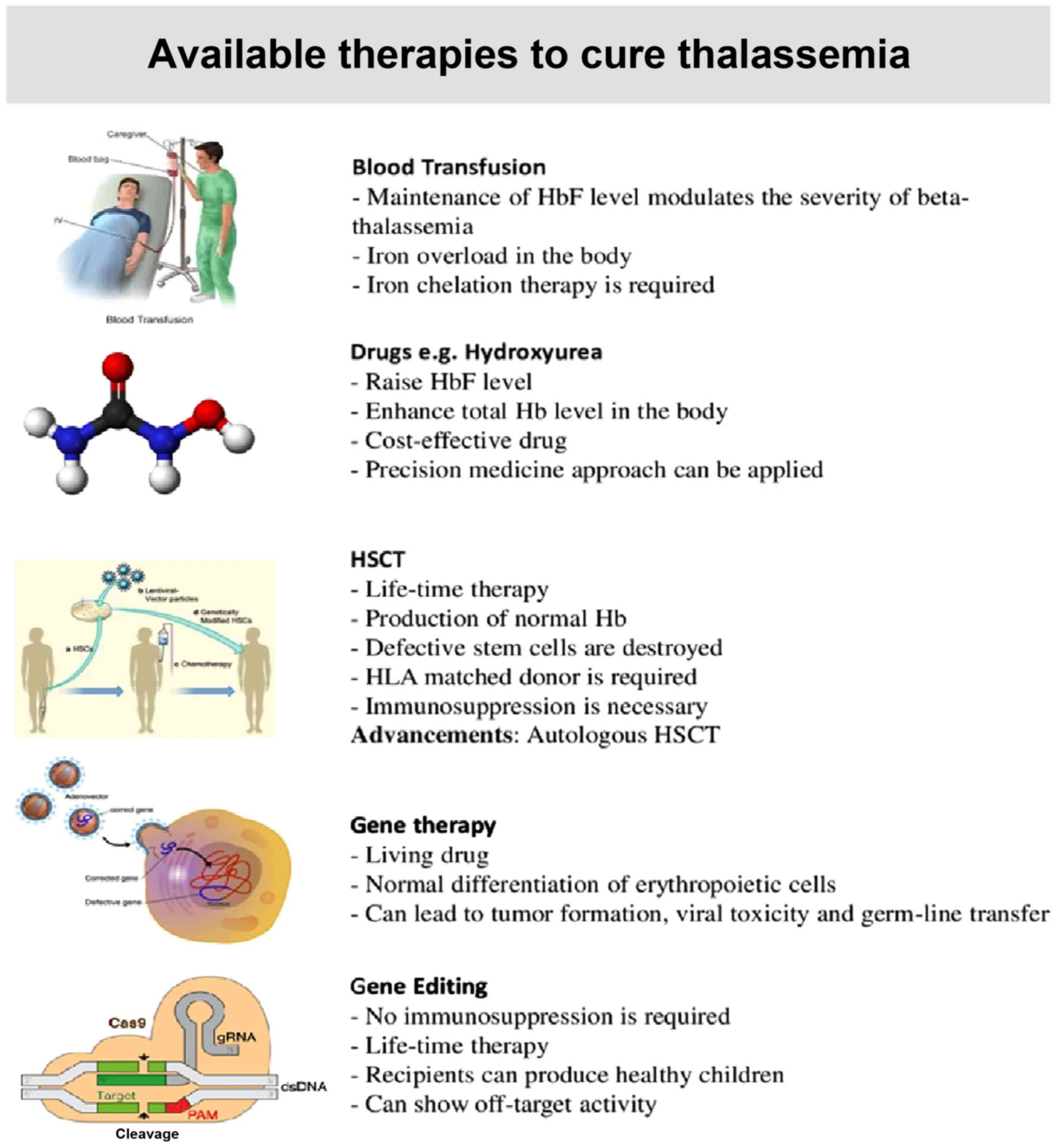 Chinese trial shows promise for β-Thalassaemia gene therapy