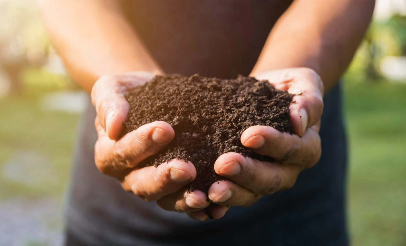 Climate Change Linked to Rising Antibiotic Resistance in Soil