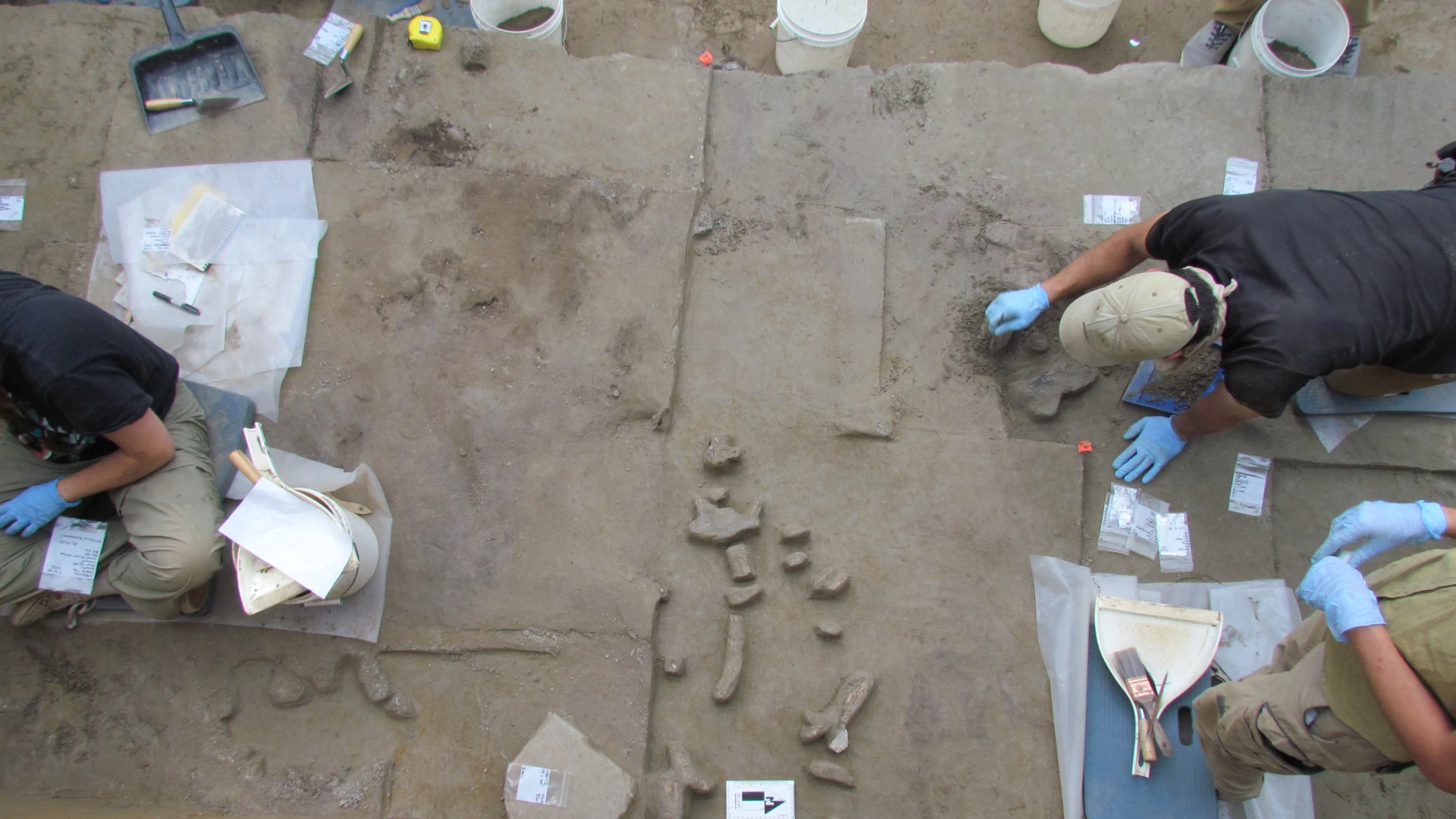 Study Revises Monte Verde Site Age to 4,200-8,200 Years