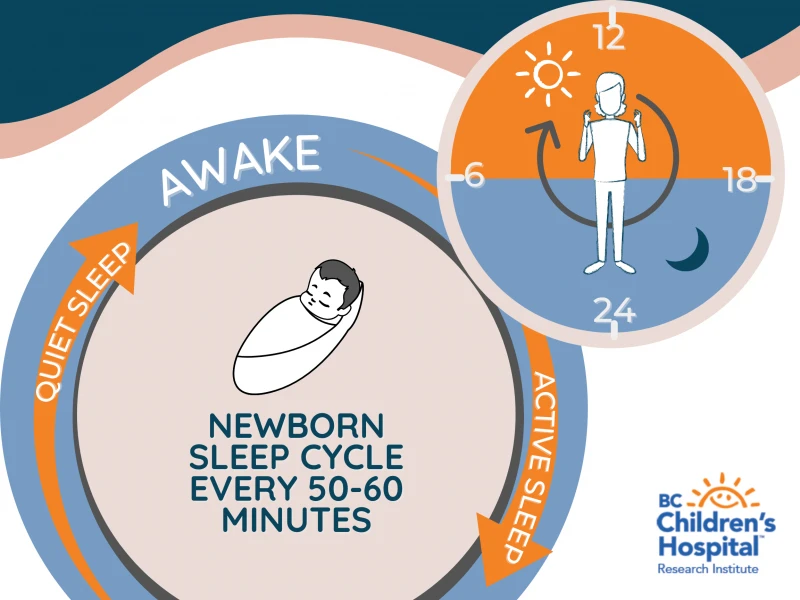 Study finds newborns can predict musical rhythms