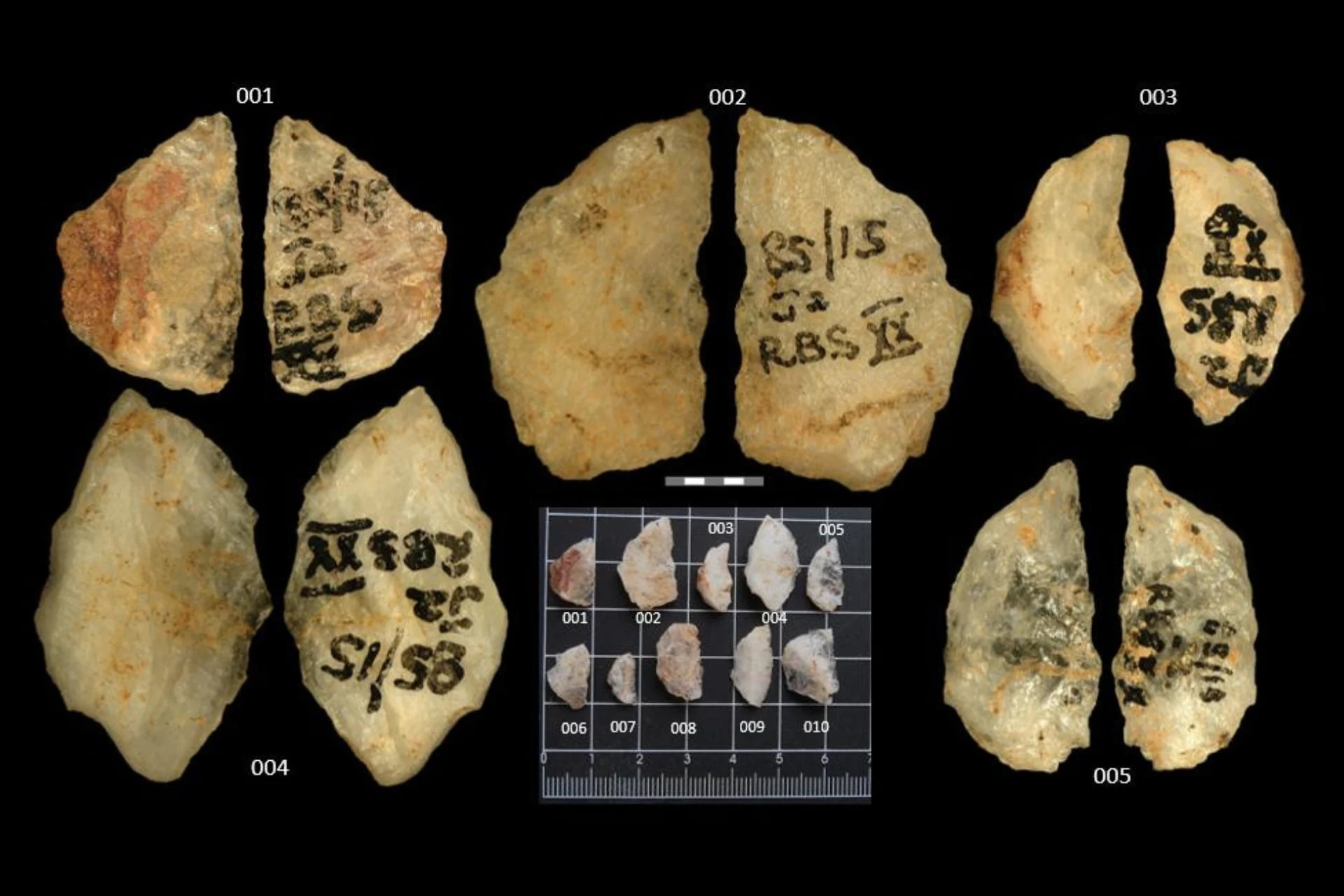 Ancient Arrowheads Reveal 60,000-Year-Old Poison Use