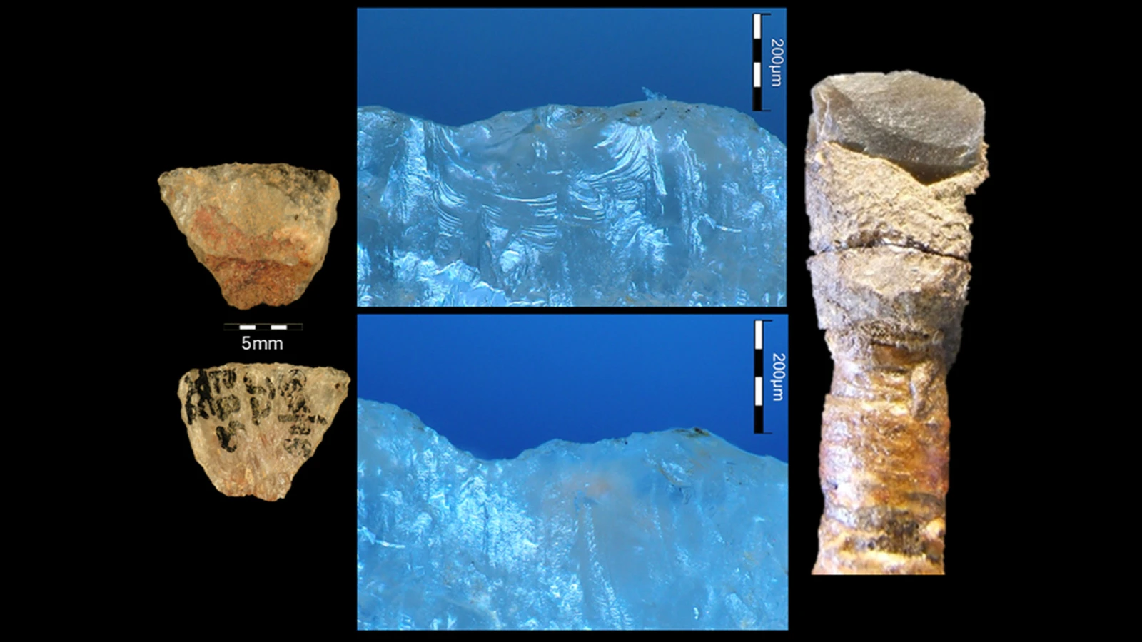 Oldest known arrow poison found in South Africa