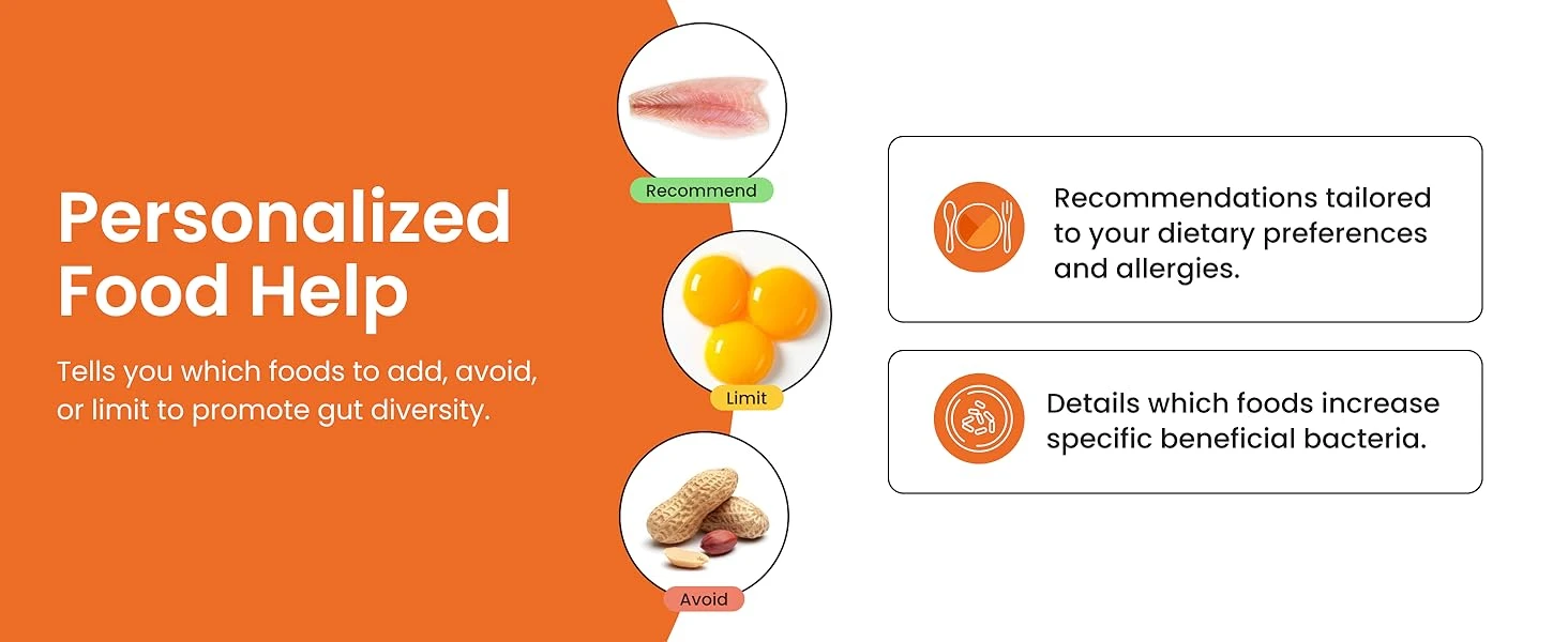 Researchers unveil digital gut for personalized nutrition
