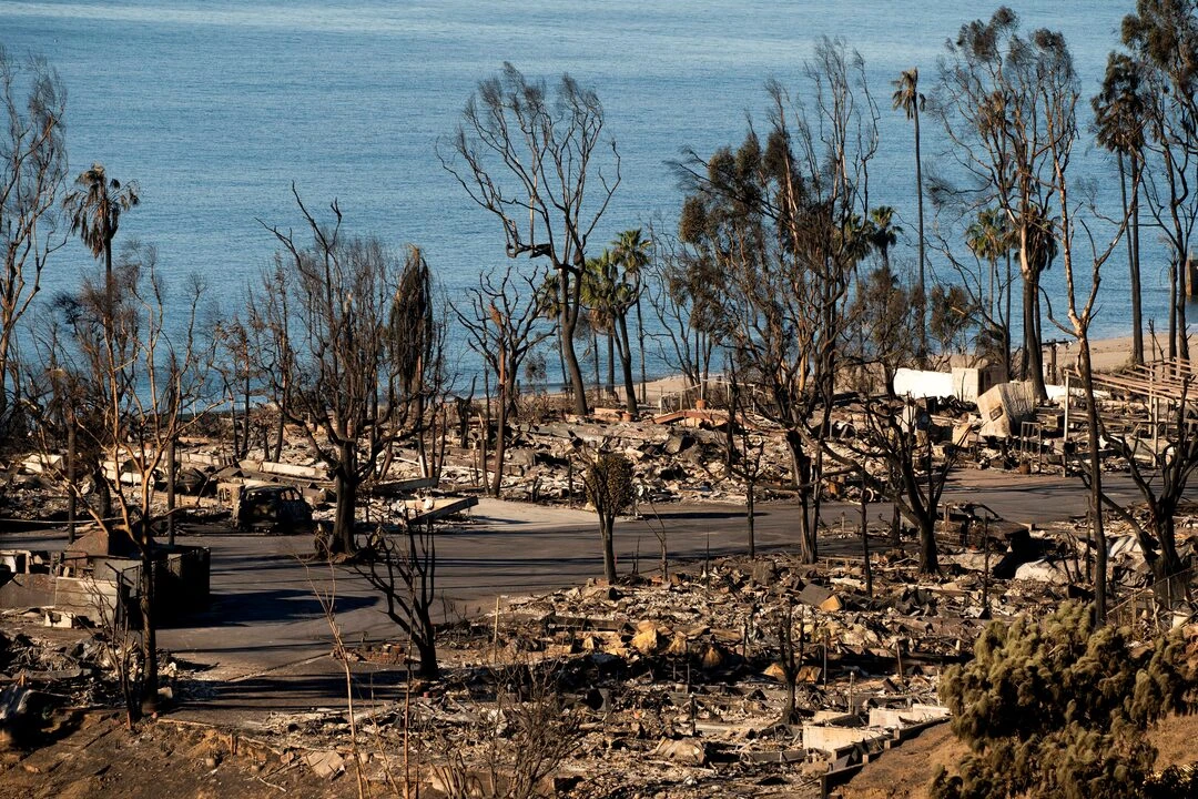Artists Reflect on Los Angeles Fires and Climate Challenges