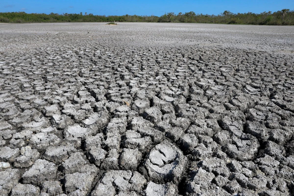 Drought Conditions Heighten Antibiotic Resistance in Soil Bacteria