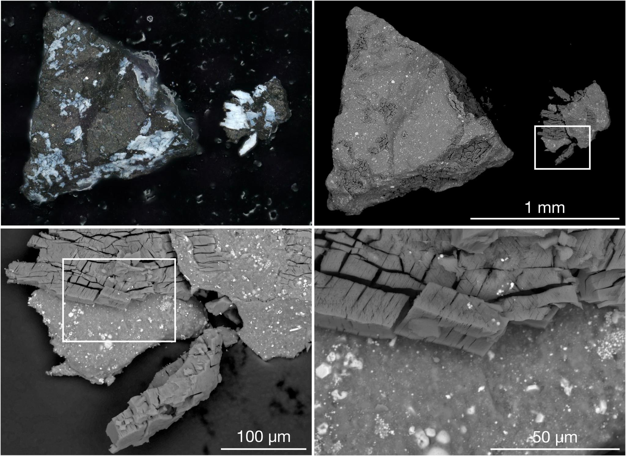 Scientists detect life’s building blocks in asteroid Bennu samples