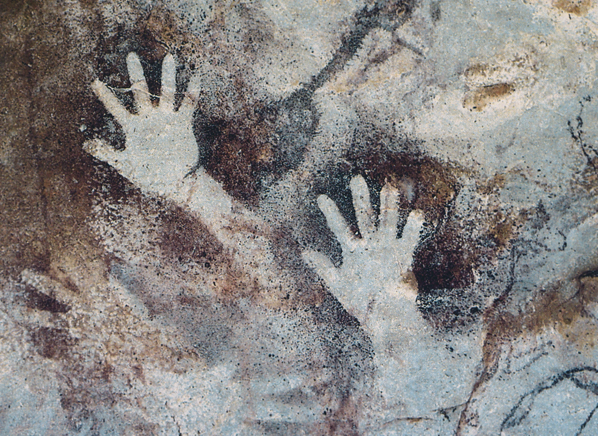 Oldest known rock art discovered in Indonesia