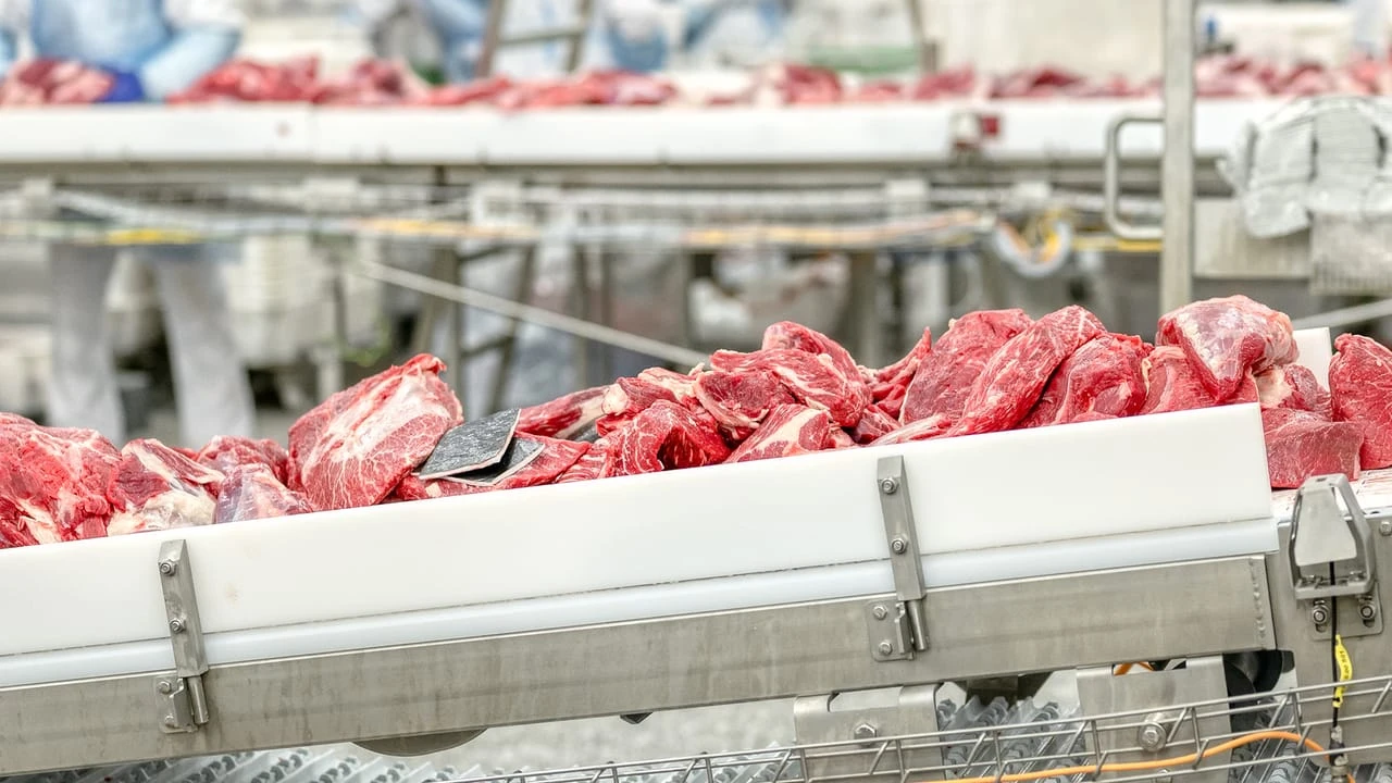 US Justice Department probes major beef companies for antitrust violations
