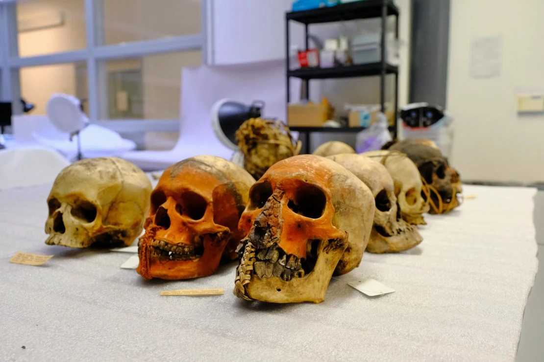 UK Museums Hold 263,000 Human Remains Raising Ethical Concerns