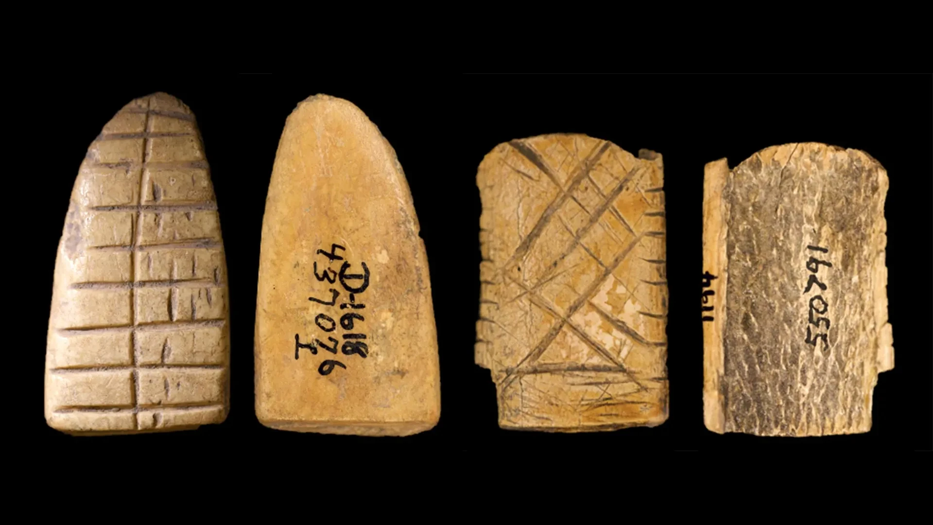 Study reveals Native Americans invented dice 12000 years ago